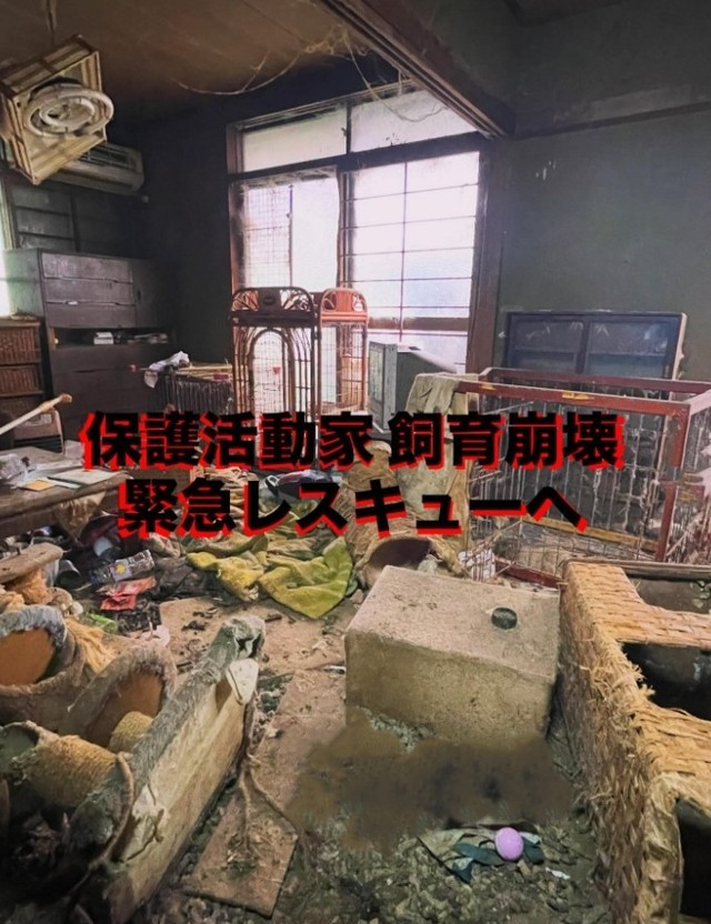 関西のある一軒家で起きた保護活動家の飼育崩壊現場（「動物保護団体わんらぶ」さん提供、Instagramよりキャプチャ撮影）