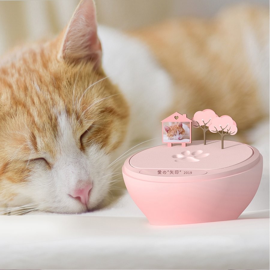 e3a1bf4aa3dddb572226b734d28e97