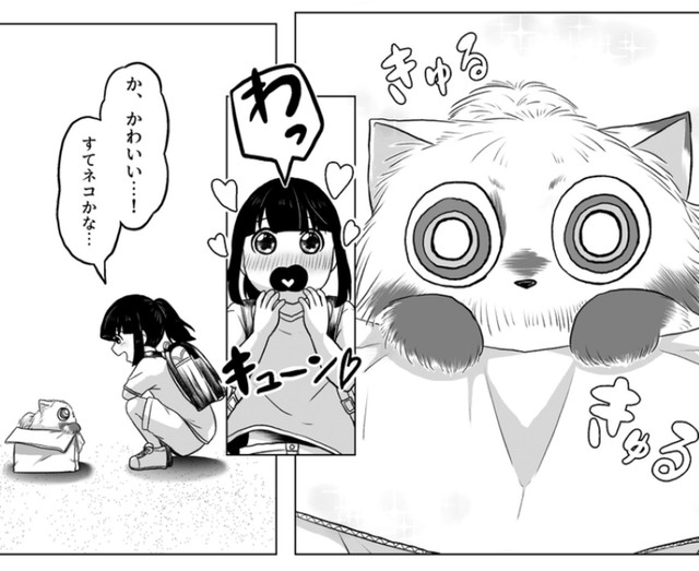 公園で見つけた可愛い動物（高野‐Koya‐さん提供）