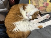 スヤスヤ眠る姿も尊い