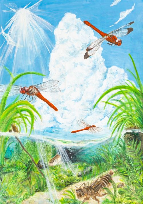 第40回「WE LOVE トンボ」絵画コンクール 入賞作品決定 | お知らせ