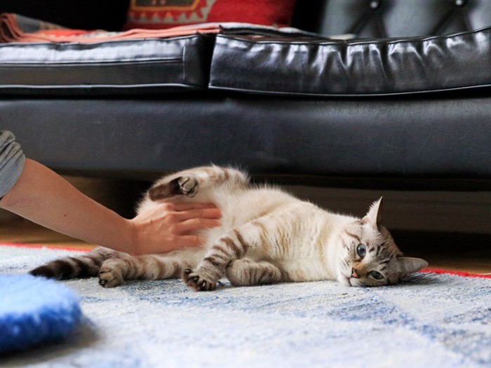 お股パカーンと円さんとのスキンシップ。