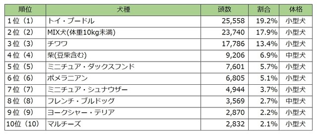 人気犬種ランキング2024TOP10（提供画像）