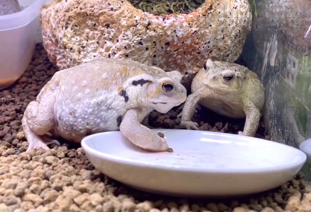 ca311d3dd518e49b4d1c446efe7871