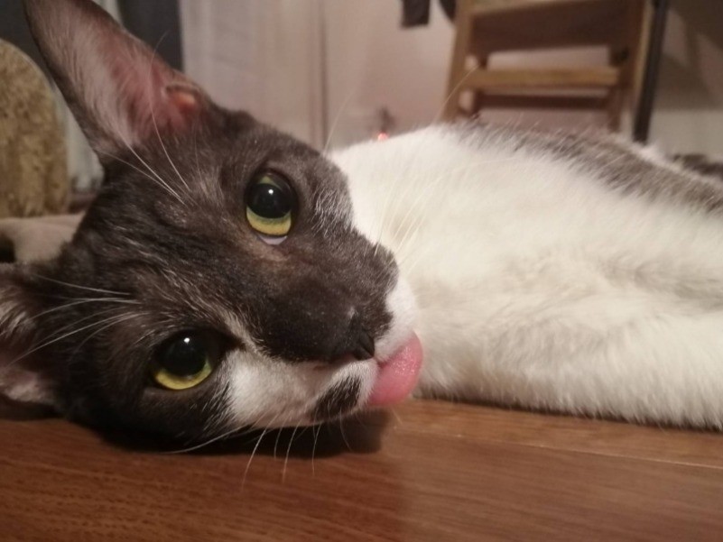 ひゃっほー（愛子さん提供）