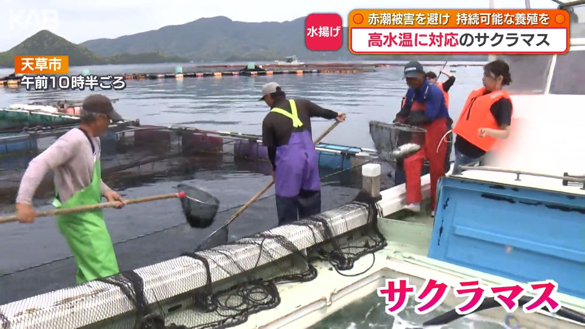 海砂利水魚出演「われら地球県民」熊本県環境基本計画ビデオ 海面養殖「サクラマス」5月に初出荷へ 高水温でも生育可能な“希望の魚
