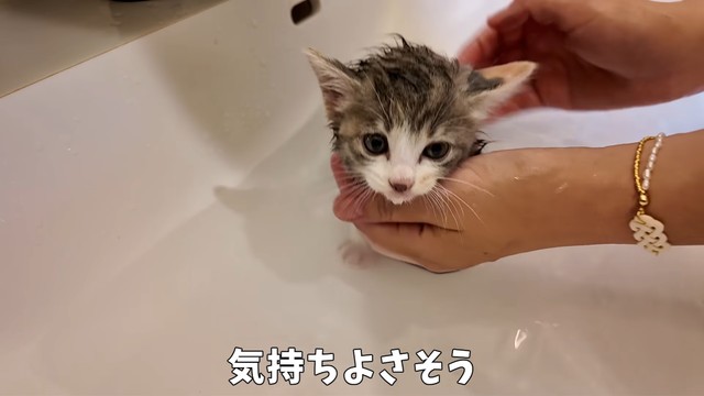 お風呂できれいさっぱり洗ってもらえました（提供：おかゆ生活さん）