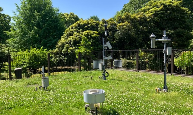 こちらが東京都心のアメダス観測所（走る人参さん提供）