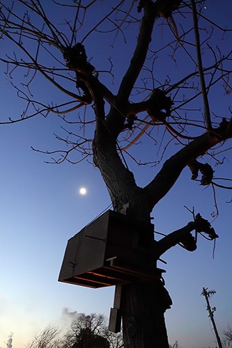 月に照らされる餌箱「これからも、ごはんをあげにいくよ）