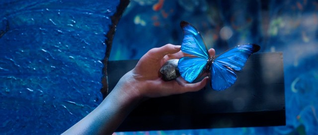 (C)2025 Amazon Content Services LLC or its Affiliates.