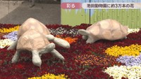 高松農業高校の生徒が手掛けたリクガメと花のモニュメント