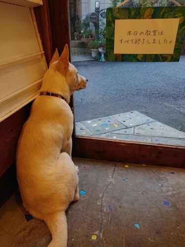 「明日、みんなに会えるかな、また来てね」（鈴木先生提供）