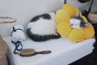 満足しきったこの寝顔…※波乗りサンバさん提供