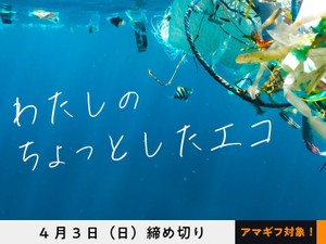 【賞金5万円】【アマギフ対象】「わたしのちょっとしたエコ」でエッセイ募集！4月3日（日）締切
