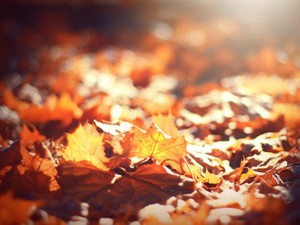 母が病気で「良い子」を演じるように。私が呪縛から解放されるまで