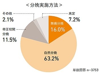 分娩実施方法（提供画像）