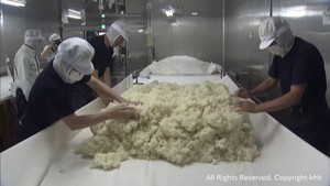 新米を使った日本酒づくり始まる　宮城・大崎市の一ノ蔵