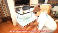 妻に内緒で購入した際に隠しきれないものとは…／リックさん（@aquarium_rick_agguy）提供