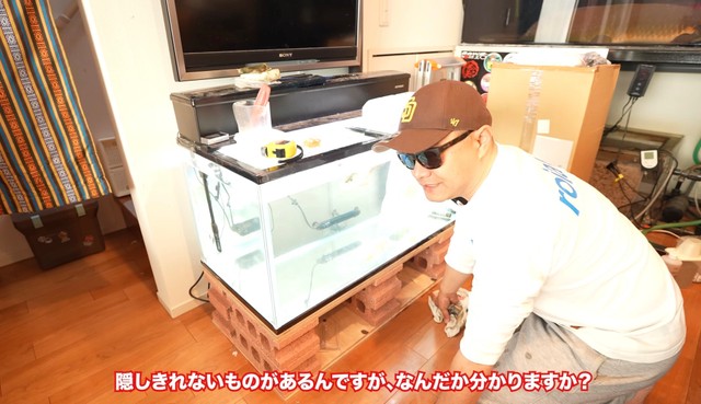 妻に内緒で購入した際に隠しきれないものとは…／リックさん（@aquarium_rick_agguy）提供