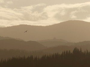 ごちゃごちゃな家から抜け出したい私の「だらしのない人」脱出法