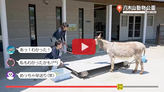 #110八木山動物公園⑤