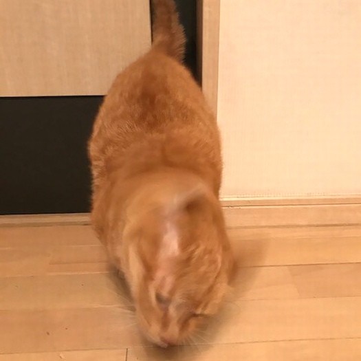 ひねりつつ、力ずくでグイッと