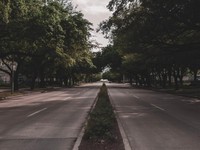 夫婦別姓が選べるようになっても、新たな門出にわたしは名字を変える