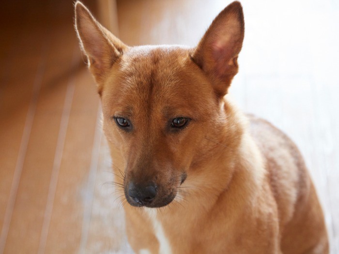 黒くて大きなカメラにもだいぶ慣れて、少しずつ表情が柔らかくなったところ