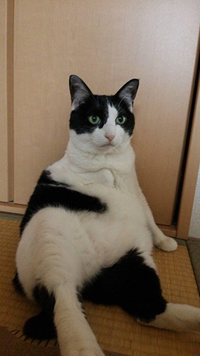 貫禄がちょっとでてきたかな（横野さん提供）