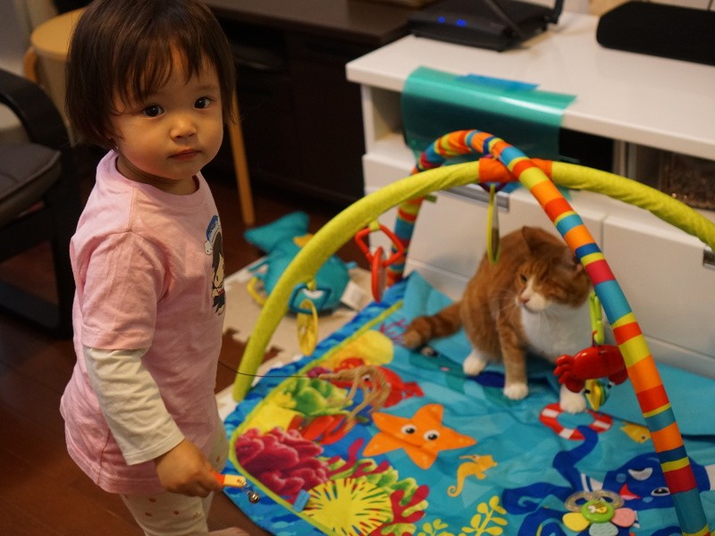 これからナチョと遊ぶの