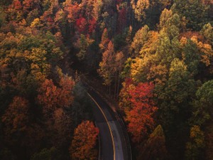 地元の私は「かわいそう」だったのか？離れて気がついた好きの気持ち