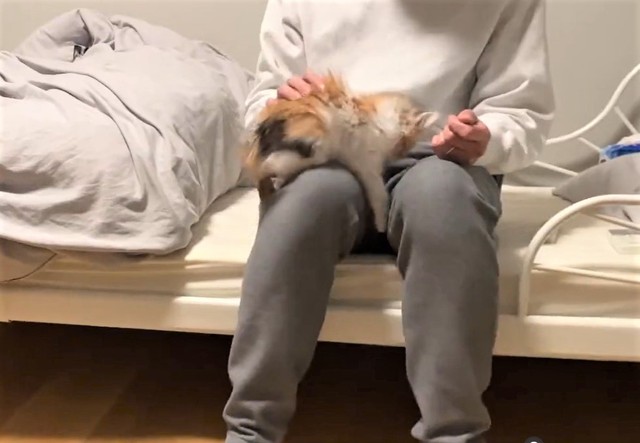 また甘えてます（かにさん提供、twitterよりキャプチャ撮影）