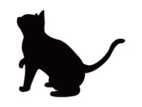 ペット用予防薬、無許可で販売　獣医師「経営苦しく…」