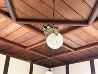 別角度から。ちょっと傾いています。 ※sin有機化学さん提供