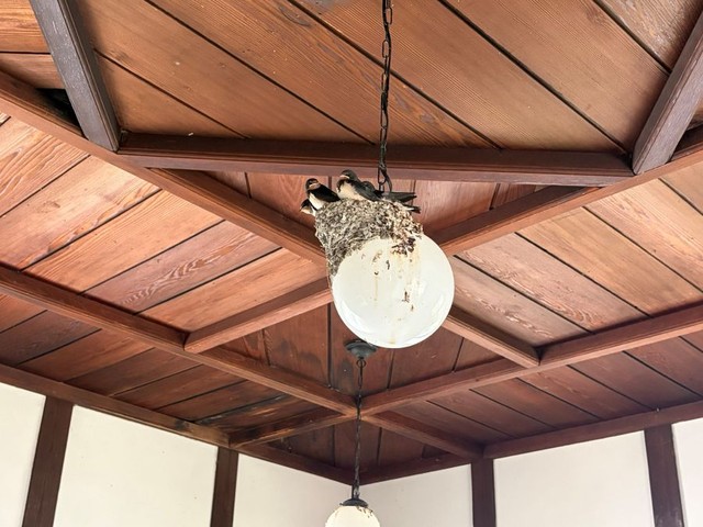 別角度から。ちょっと傾いています。 ※sin有機化学さん提供