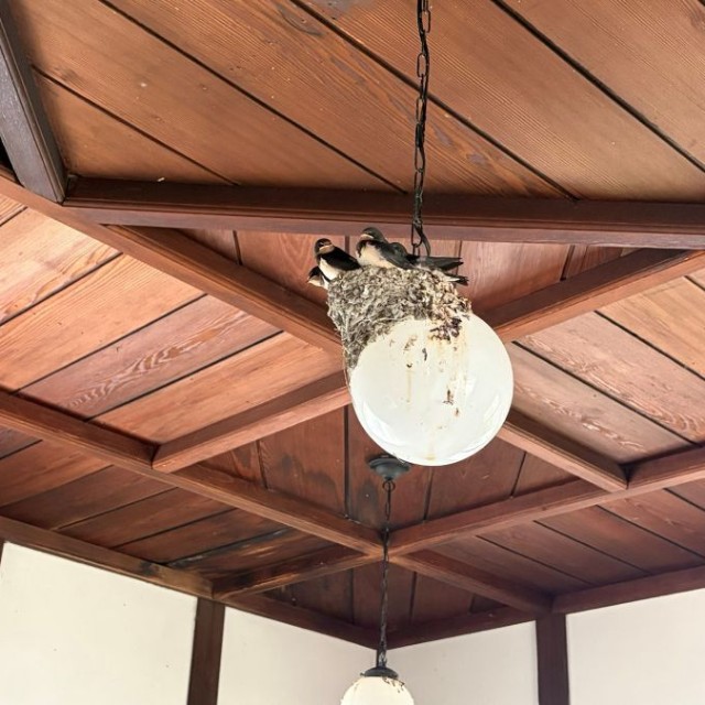 別角度から。ちょっと傾いています。 ※sin有機化学さん提供