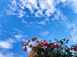 父に「好き勝手しているお前が腹立つ」と怒鳴られたから、強くなれた