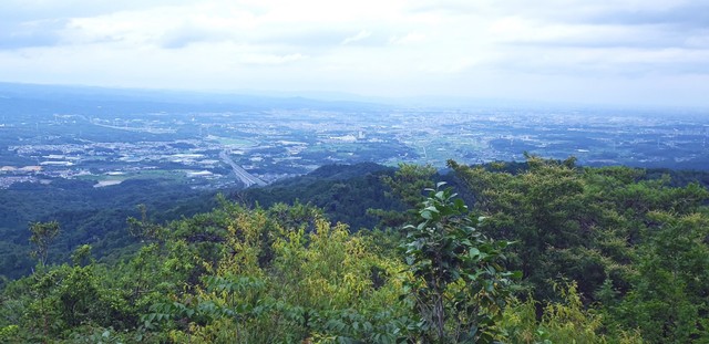 猿投山・大岩展望台付近／出典：YAMAP・yumkiさんの活動日記（https://yamap.com/activities/11926717）より
