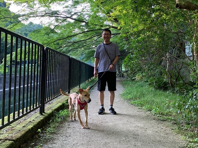 ご近所は環境抜群！お父さんとの散歩で尻尾が上がることも