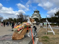 しめ縄を背負った閣下