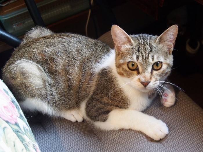 どんどんたくましくなっていく