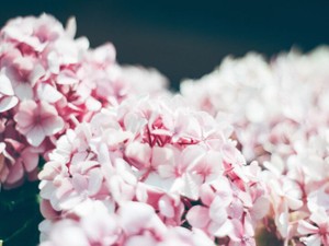 6年間ありがとう。今日からは他人としてよろしくね