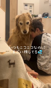 怒られた次男に寄り添うきなこ（きなこと三兄弟さん提供） 