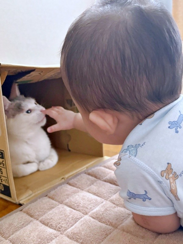 お気に入りの場所が見つかった！ 弟と遊ぶおかかちゃん（画像提供：こずえさん）