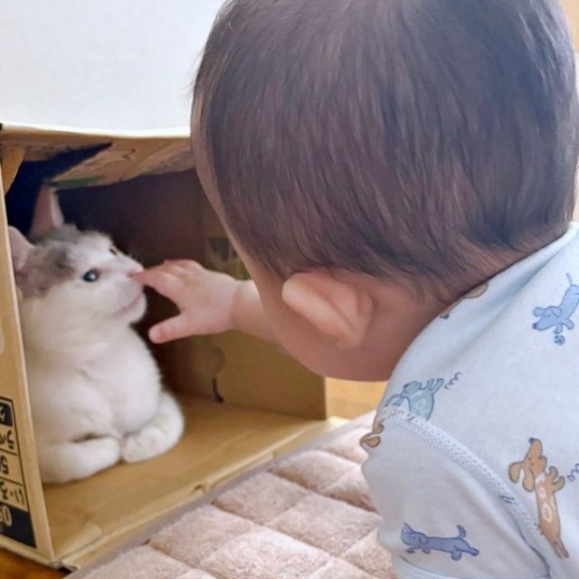 お気に入りの場所が見つかった！ 弟と遊ぶおかかちゃん（画像提供：こずえさん）