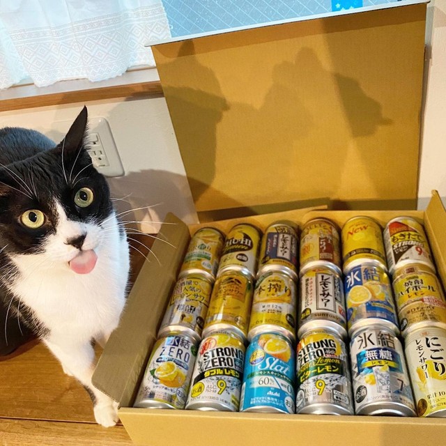 レモンサワーの宝石箱だにゃ