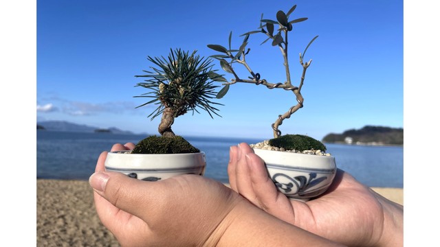 うどん県は盆栽も最中も「さぬき風」　ユニーク商品相次ぎ発売　香川