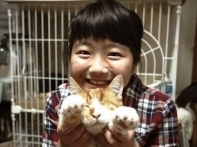 小学生が猫の保護活動　送り出しても、もう泣かない　幸せ願う