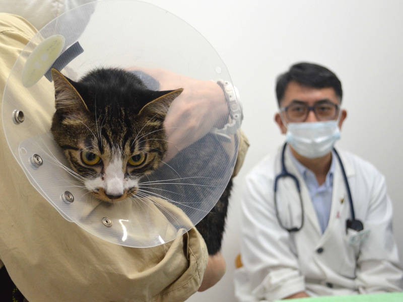 「今日は一日ドキドキの連続だったぜ……」