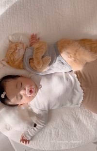 お昼寝するふたり／ひなまるchannelさん（@hinamaru_channel）提供